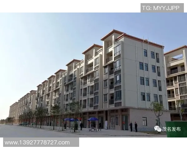 新沂姚明慧:探索城市文化与科技创新的融合之路 新沂姚明慧:探索城市文化与科技创新的融合之路